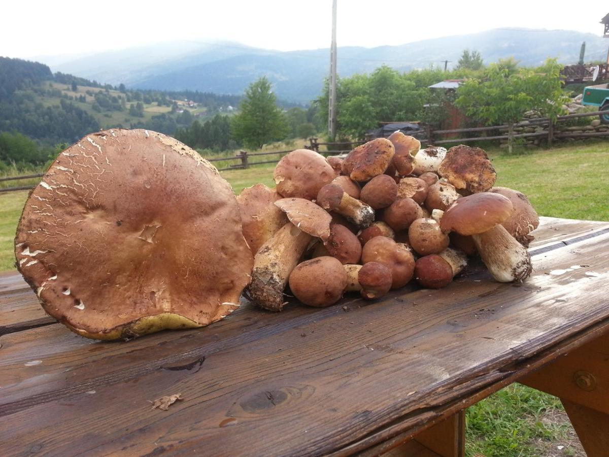 Babia Chata Zawoja Bagian luar foto